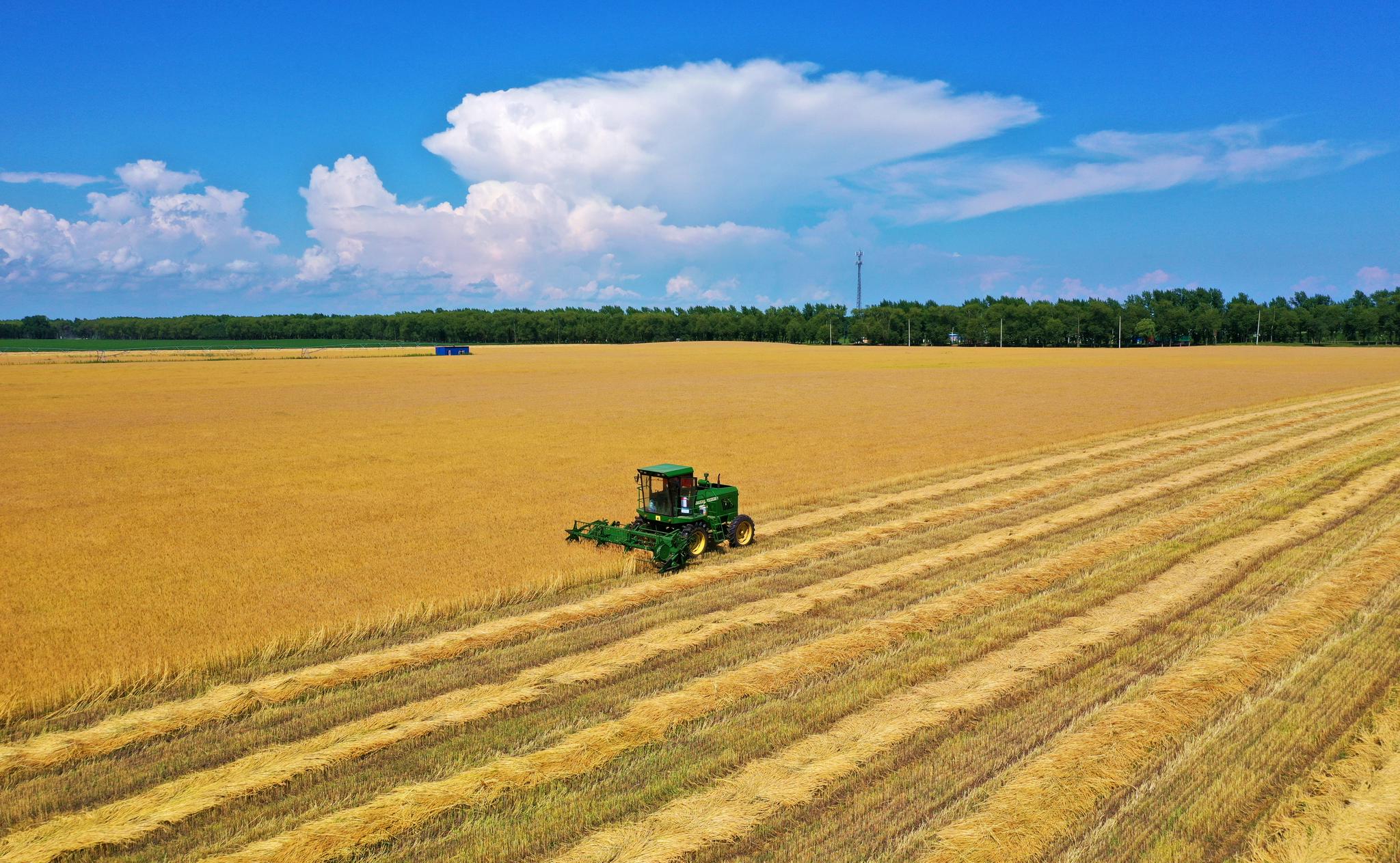 阿尔及利亚推进农业生产项目以提升粮食安全水平
