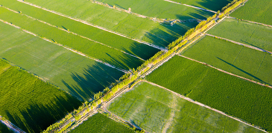 阿尔及利亚再生水输送农业灌溉项目投入运行