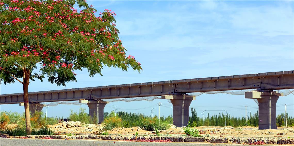 阿尔及尔―塔曼拉塞特铁路项目部分路段建设加快