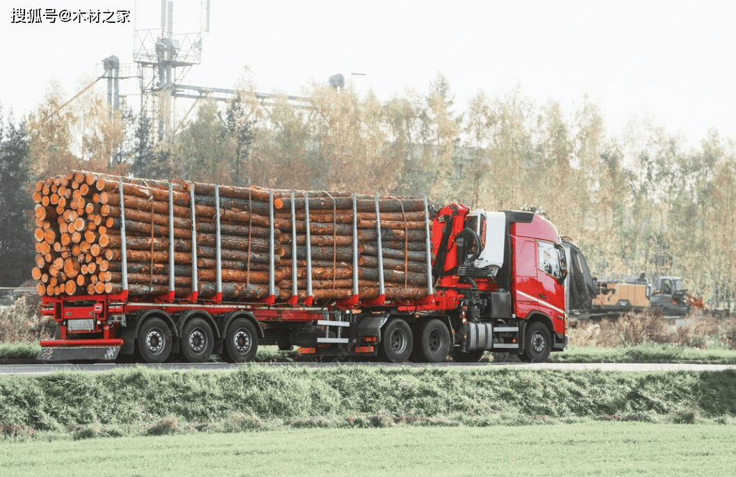 哥伦比亚经济紧急状态触发新一轮税收措施