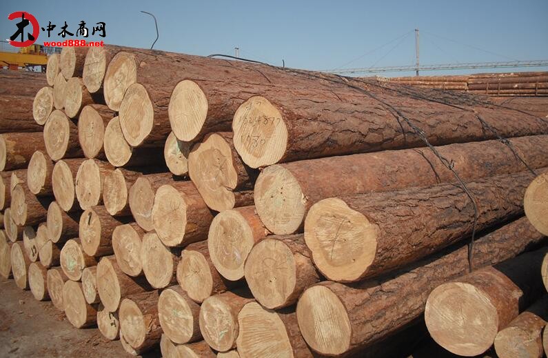 阿尔及利亚自乌拉圭进口奶粉规模显著增长