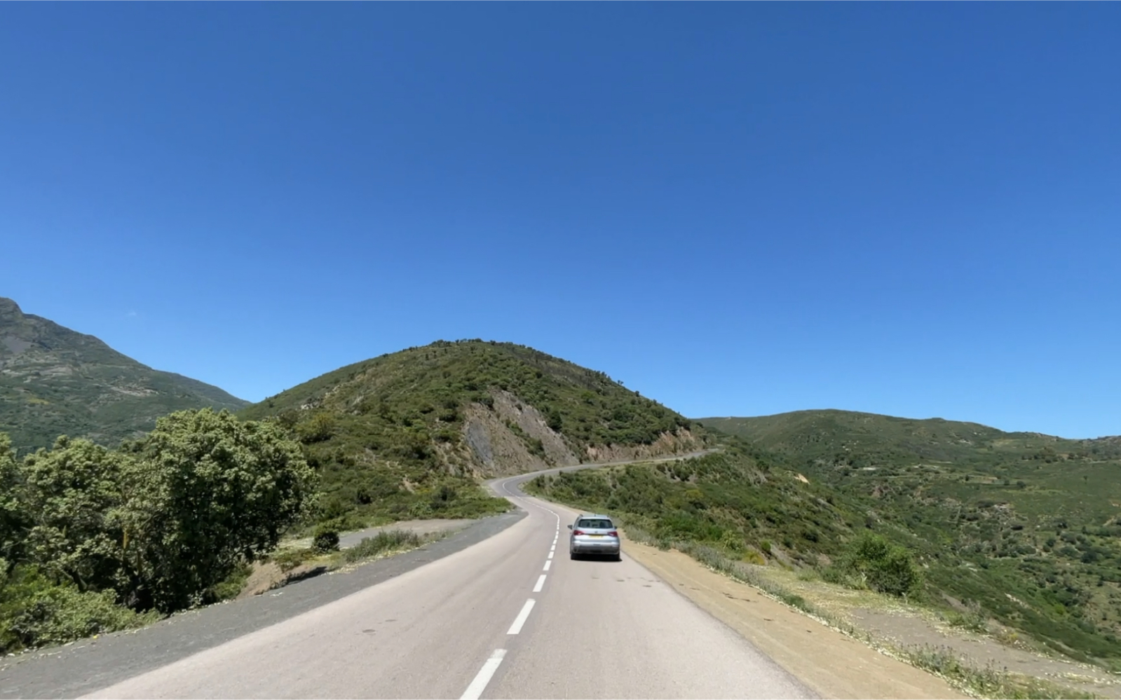 阿尔及利亚Soummam乳业首次出口美国市场