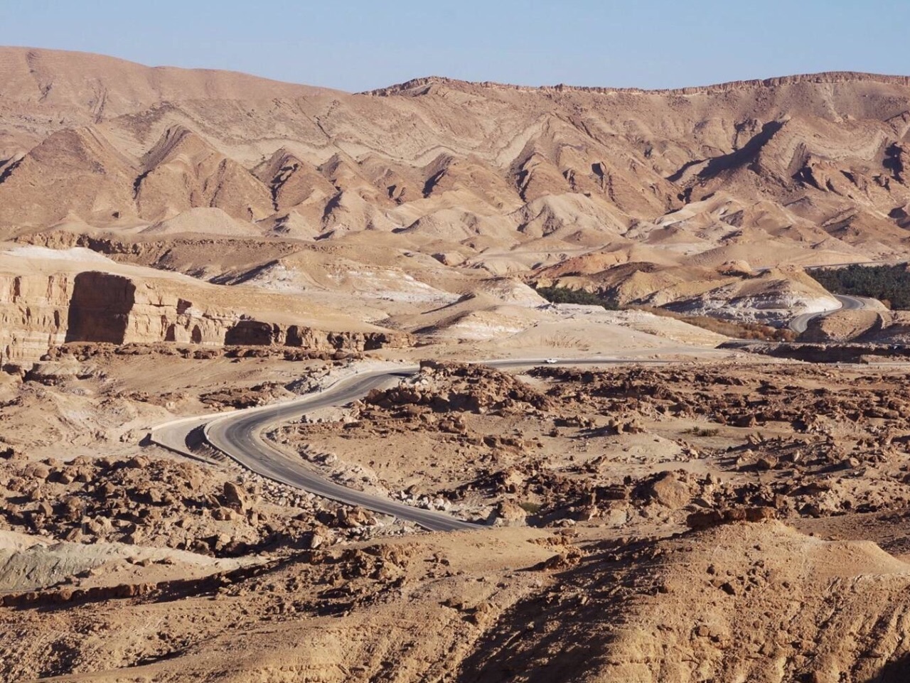 阿尔及利亚投资项目登记数量超过2.1万个