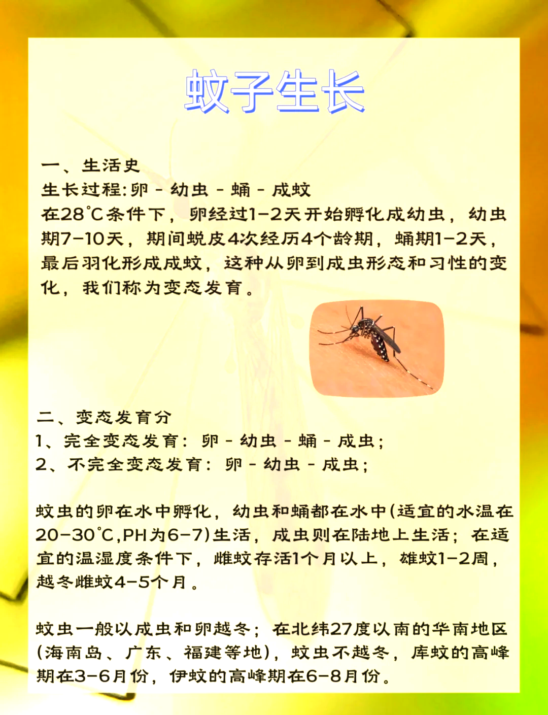 唠“科”话丨为啥蚊子总叮你?“招蚊”跟血型相关?